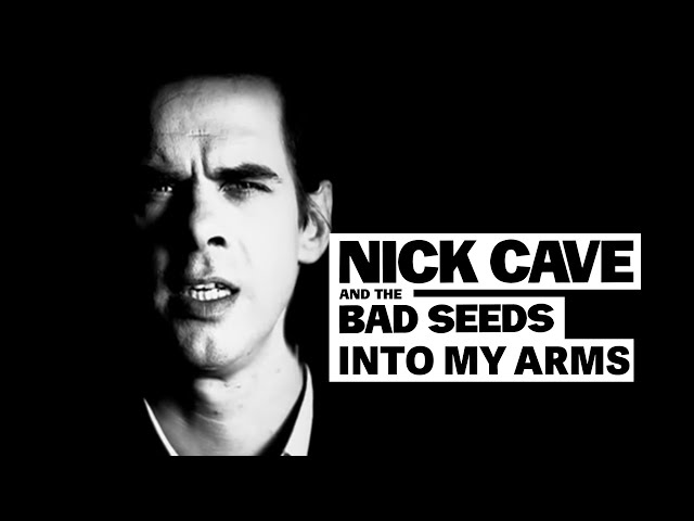 Song of the Day (152) - Into My Arms by Nick Cave and the Bad Seeds